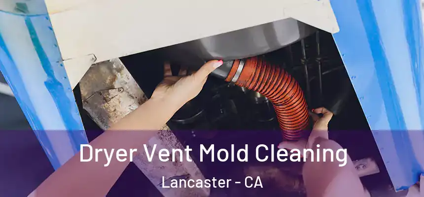 Dryer Vent Mold Cleaning Lancaster - CA