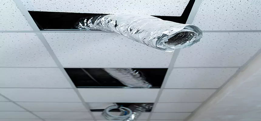 Our Air Duct Pet Hair Removal Services in Lancaster, CA