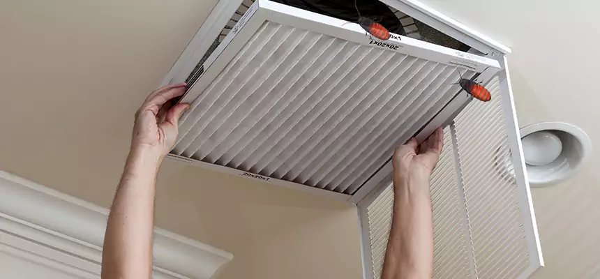 Our Insect Removal from Air Ducts Services in Lancaster, CA