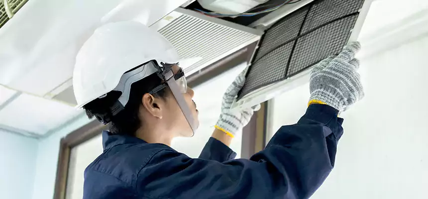 Our Mold & Mildew Removal from Air Ducts Services in Lancaster, CA