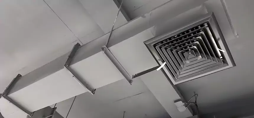 Our Pest Removal From Ducts Services in Lancaster, CA