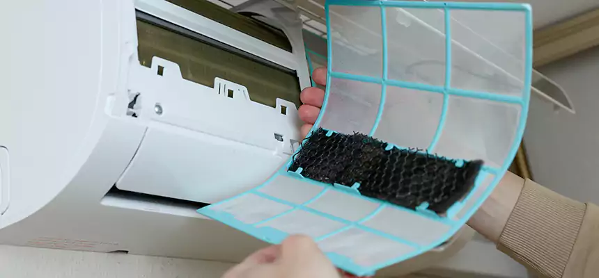 Gentle Ductwork Odor-Control Pet Dander Duct Cleaning in Lancaster, CA