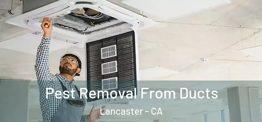  Pest Removal From Ducts Lancaster - CA