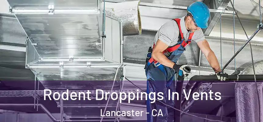  Rodent Droppings In Vents Lancaster - CA