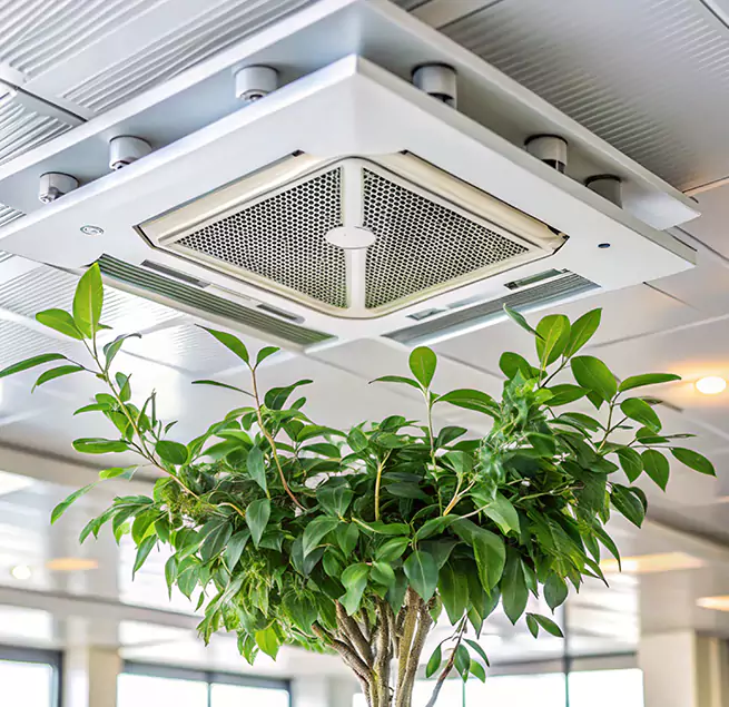 Why Homeowners & Businesses Trust Us in Lancaster, CA