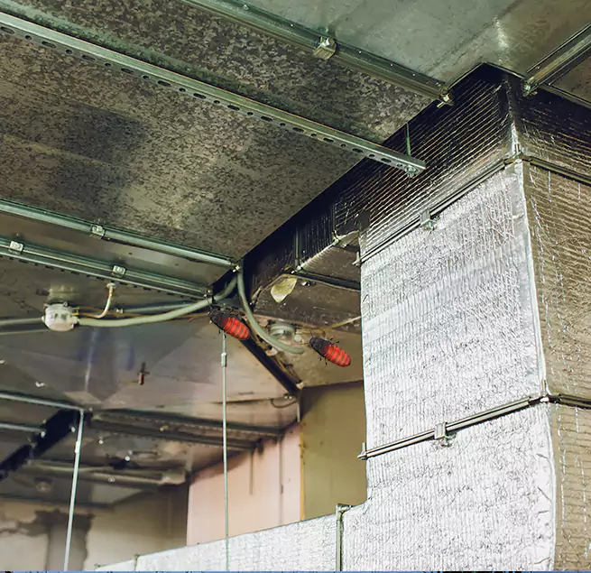 Why Homeowners & Businesses Trust Us Lancaster, CA?